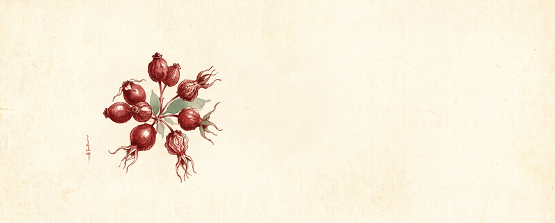Fruits & Flowers