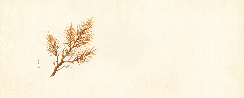 Rooibos & Honeybush
