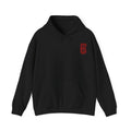 Jing Shen Lifestyle Wear | 2026 Year of the Fire Horse | Hoodie