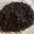 Close-up of Perfect Pair Pu-erh tea blend with dark pu-erh leaves and roasted coffee beans on a light background